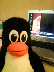 Tux in Front of Laptop